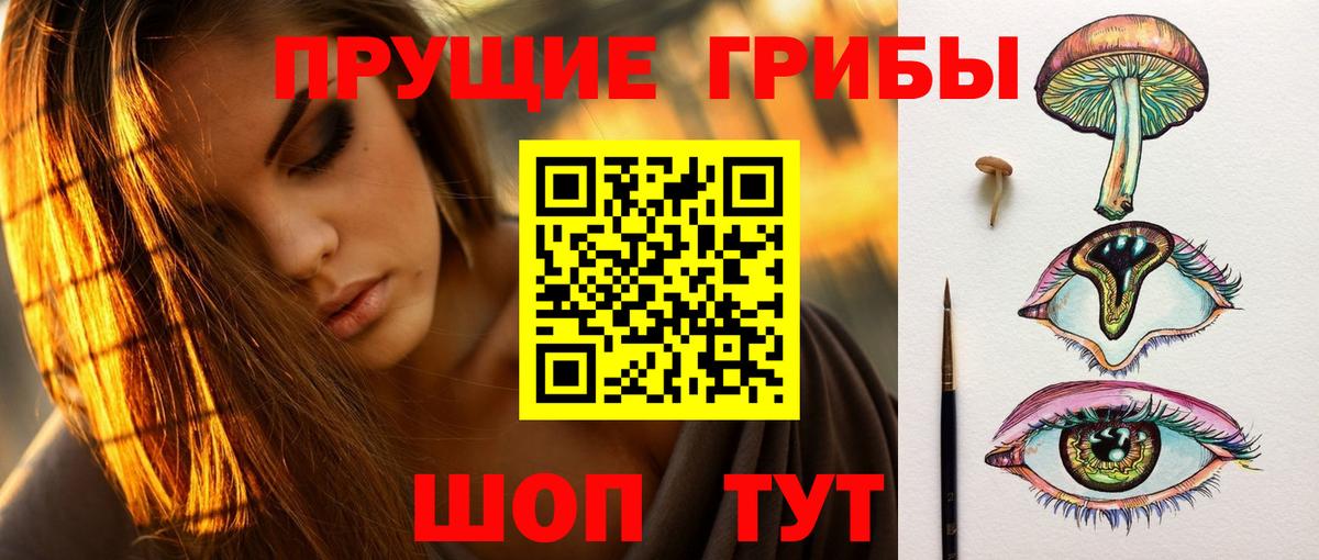 Кудрово  Галлюциногенные грибы Cubensis  Вход с VPN 